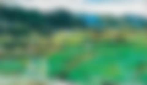 Emerald Beauty of Spring (preview)