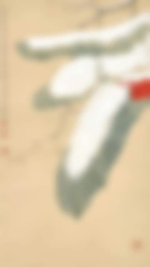 Auspicious snow (preview)