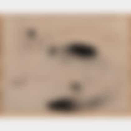 Chat couché (preview)