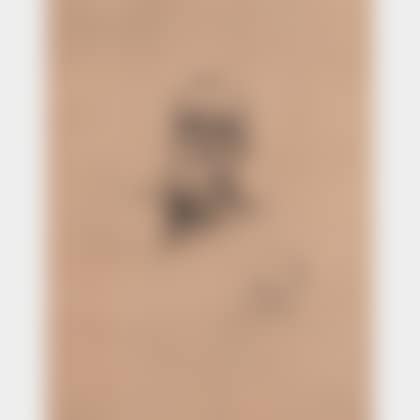 Victor Hugo de face (preview)