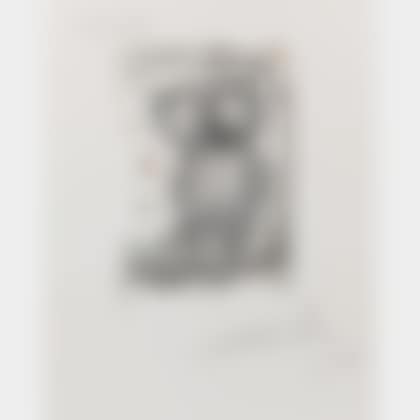 La petite chouette (Hibou) (preview)