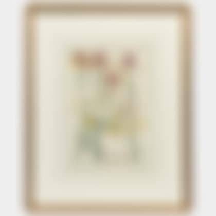 Five Plates from Johann Wilhelm Weinmann"s Phytanthoza Inconografia (preview)