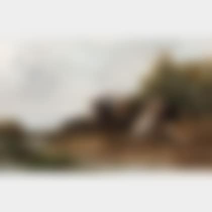 Arab Horsemen Hunting Boar (preview)