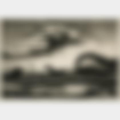 The Race , alternatively titled Homeward Bound (preview)