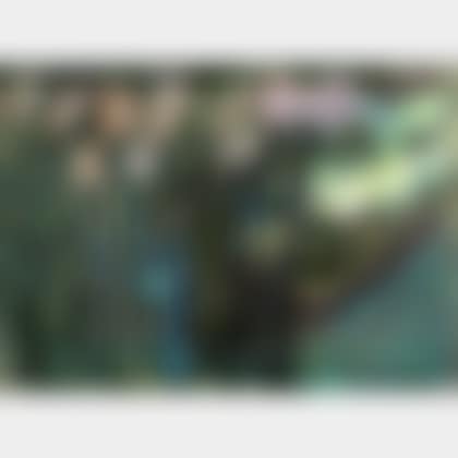 Moonlit Wonder (preview)