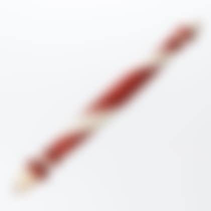 Small Red- and White-painted Barber Pole (preview)
