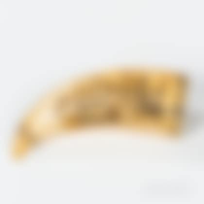 Scrimshaw-decorated Whale"s Tooth (preview)