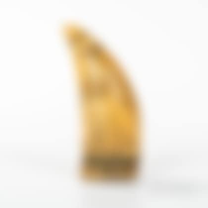 Scrimshaw-decorated Whale"s Tooth (preview)