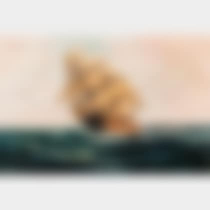 Square-rigged Ship at Sea (preview)