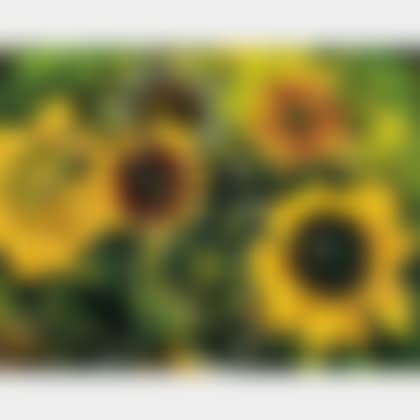 Sunflowers (preview)