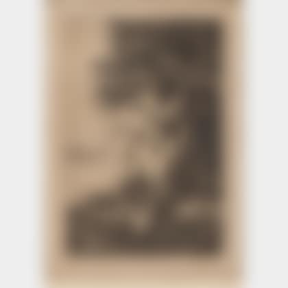 Alder (preview)