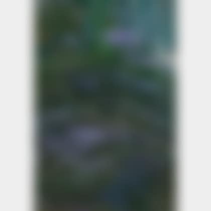 Study of Water/An Oil Study Fragment (preview)