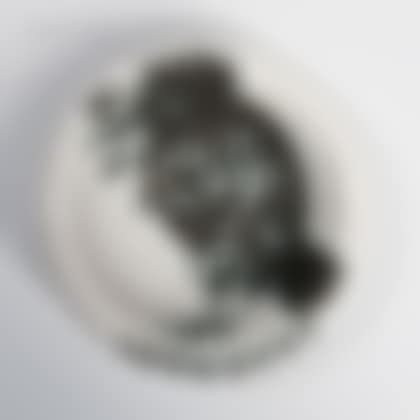 Bird with Worm (preview)