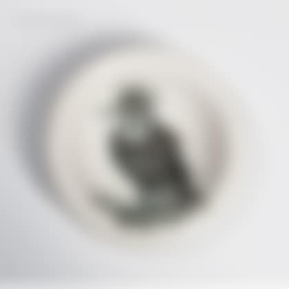 Bird with Tuft (preview)