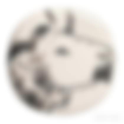 Bull"s Profile (preview)