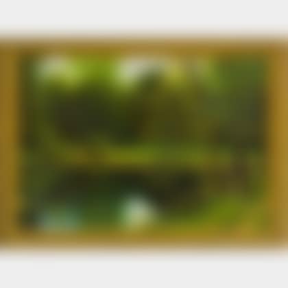Landscape with Pond (preview)