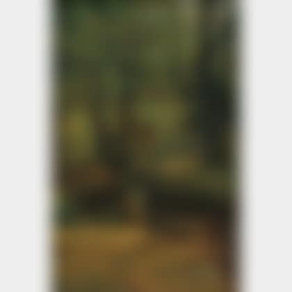 The Forest Stream (preview)