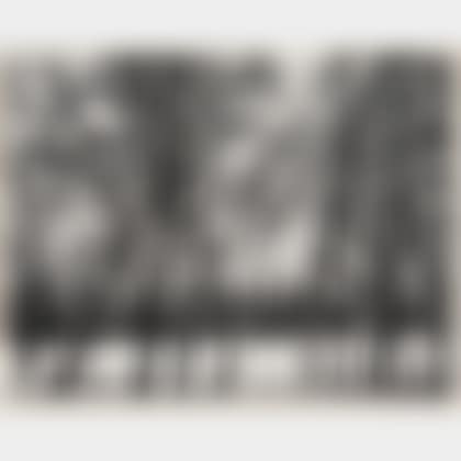 Young Oaks, Winter (preview)