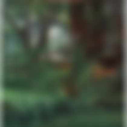 Cambridge (preview)