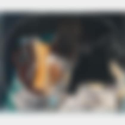 Pichet et Oiseau (preview)