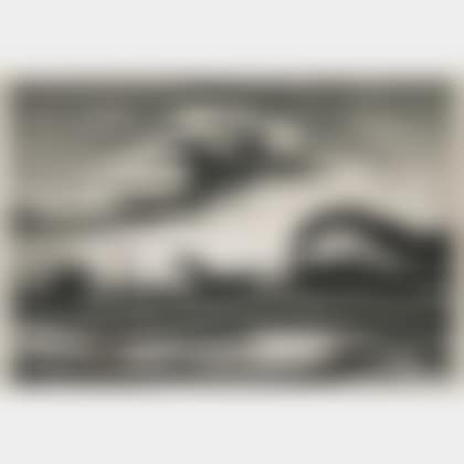 The Race , alternatively titled Homeward Bound (preview)