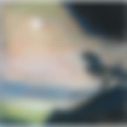 Tree Channel (preview)