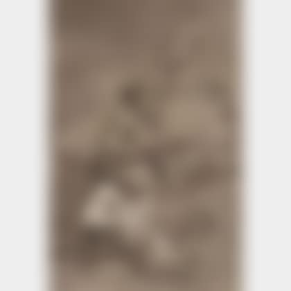 Lot of Two Plates from LOS CAPRICHOS: Todos Caeran, plate 19 and Devota Profesion, plate 70; first edition (preview)