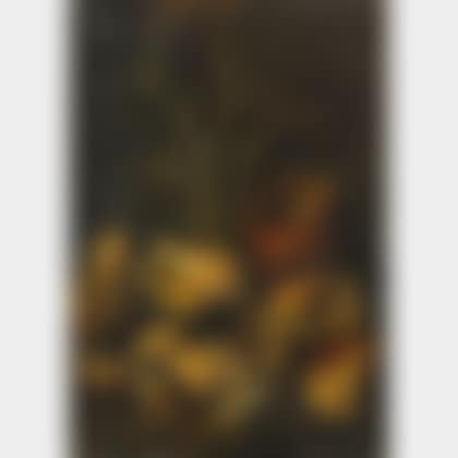 Still Life with Seashells (preview)