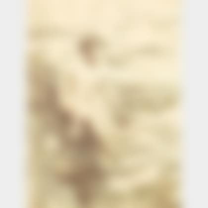 Wet (preview)