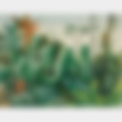 Tropical Landscape (preview)