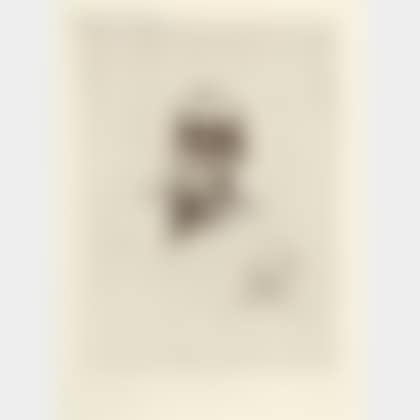 Victor Hugo de face (preview)