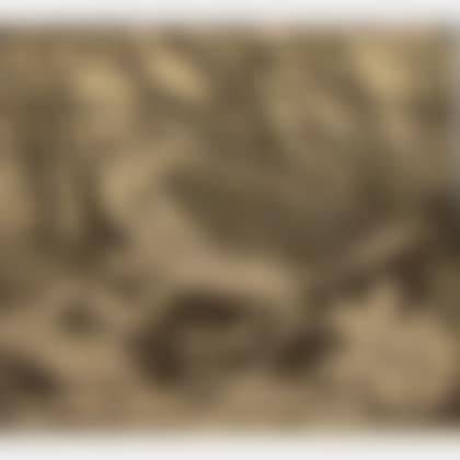 American Woodcock Bird (preview)