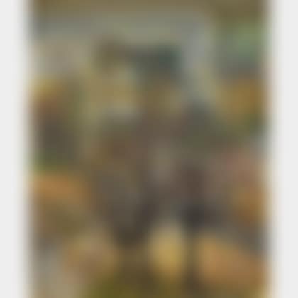Paris Landscapes (preview)