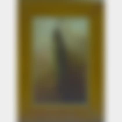 Portrait of a Caught Trout (preview)