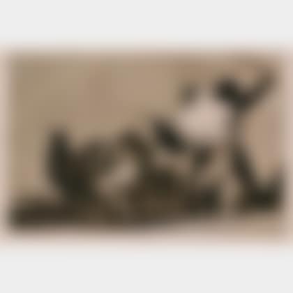 Disparate Conocido - Que Guerrero! from LOS PROVERBIOS (preview)