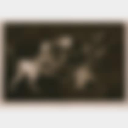 Disparate de Tontos - Lluvia de Toros, from LOS PROVERBIOS (preview)