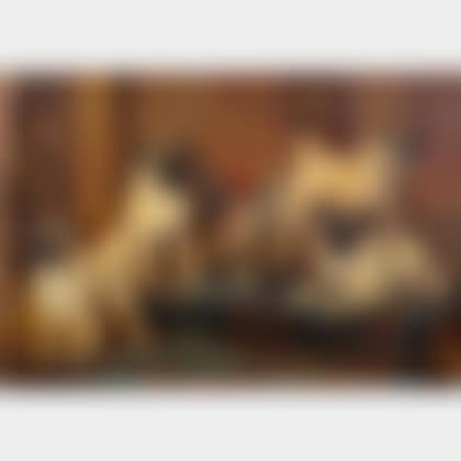 The Swarland Pugs (preview)