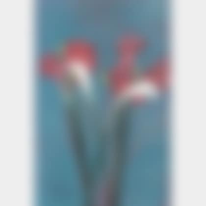 Amaryllis/Calla I (preview)