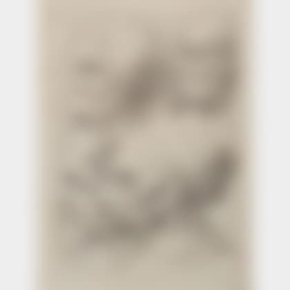 Four Grotesque Heads. (preview)