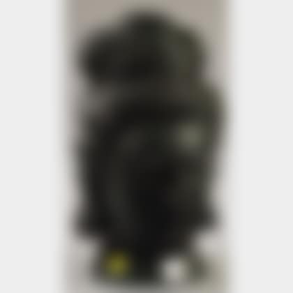 Head of Buddha (preview)