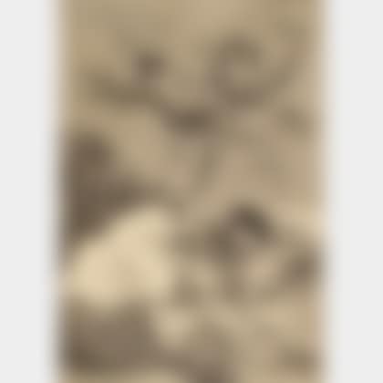 Todos Caerán, plate 19 from LOS CAPRICHOS (preview)