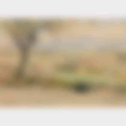 View Near Biberach (preview)