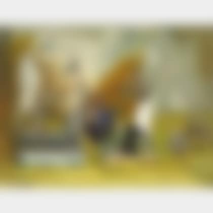 Birdcage and Still Life (preview)
