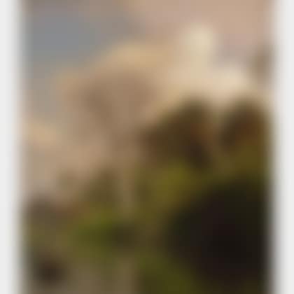 Fishing in the Everglades (preview)