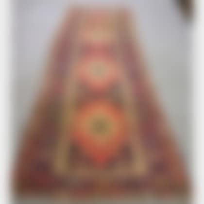 Northwest Persian Runner (preview)