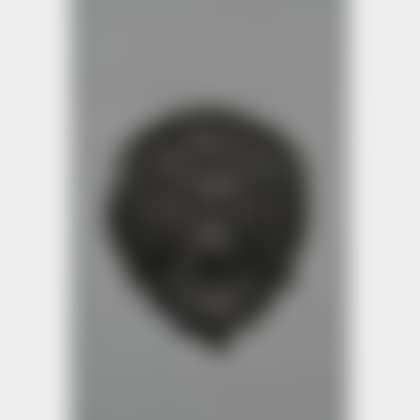 Black-painted Cast Iron Wall Mounted Lion"s Head (preview)
