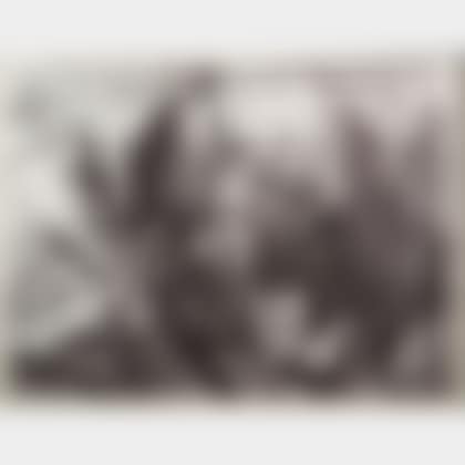 Untitled (Greenhouse (preview)