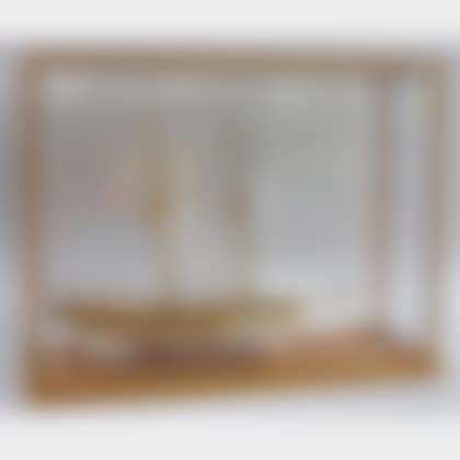 Cased Carved and Painted Wooden Two-masted Sailing Ship Model Albatros (preview)