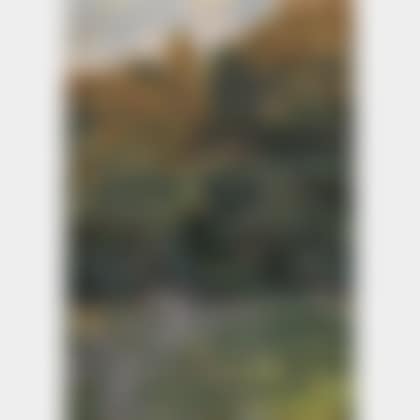 Forest Glade (preview)