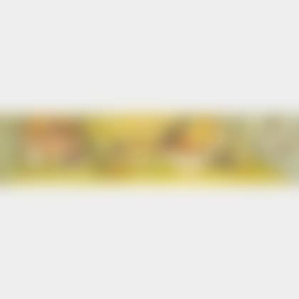 Still Life of Fruit on Table (preview)